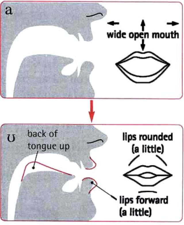 How to pronounce aʊ