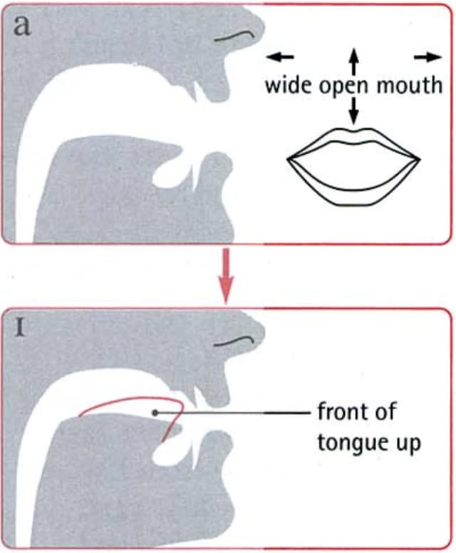 How to pronounce ɔɪ