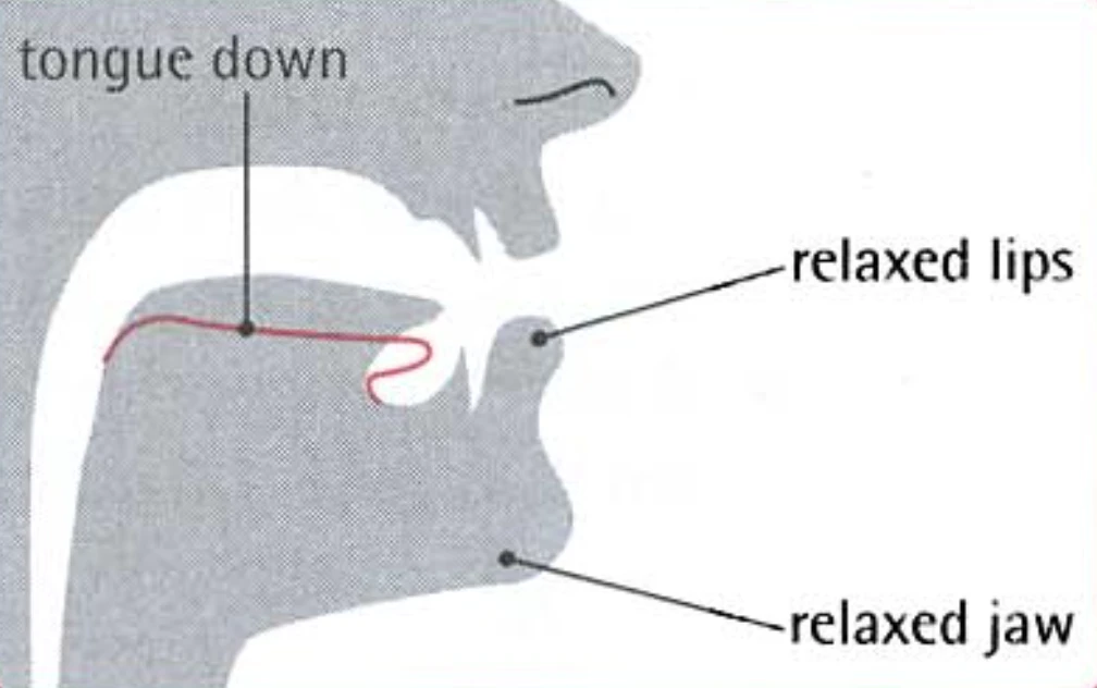 How to pronounce ʌ