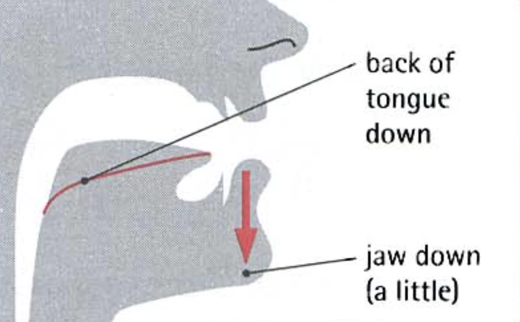 How to pronounce ɑ: