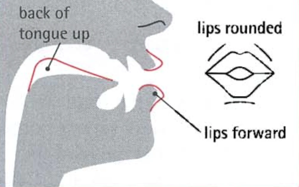How to pronounce u: