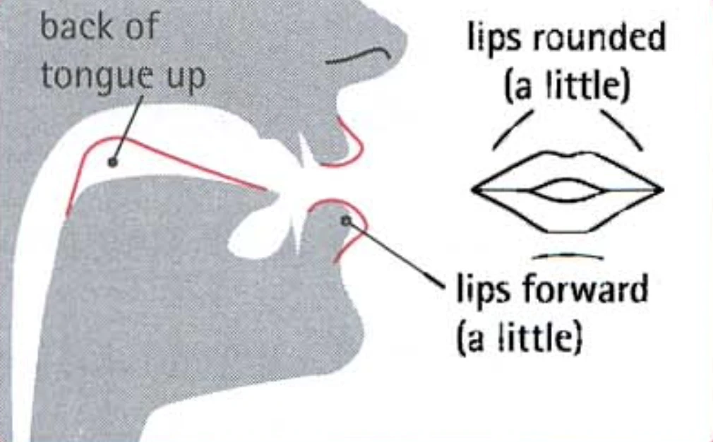 How to pronounce u